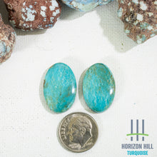 Load image into Gallery viewer, Arizona Patagonia Cabochon Pair