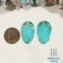 Load image into Gallery viewer, Arizona Patagonia Stella Blue Pair