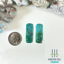 Load image into Gallery viewer, Arizona Patagonia Cabochon Pair