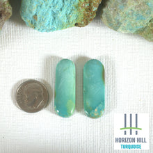 Load image into Gallery viewer, Arizona Patagonia Cabochon Pair