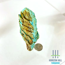 Load image into Gallery viewer, Arizona Patagonia Stella Blue Rough