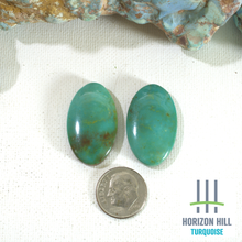 Load image into Gallery viewer, Arizona Patagonia Cabochon Pair