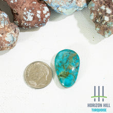 Load image into Gallery viewer, Arizona Patagonia Cabochon