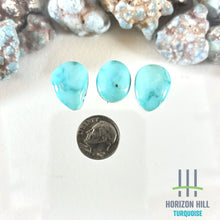 Load image into Gallery viewer, Lone Mountain Cabochon