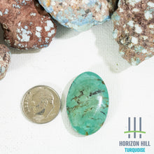 Load image into Gallery viewer, Arizona Patagonia Cabochon