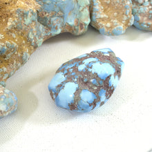 Load image into Gallery viewer, Golden Hill: Large Nugget