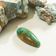 Load image into Gallery viewer, Arizona Patagonia Cabochon