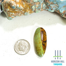 Load image into Gallery viewer, Arizona Patagonia Cabochon