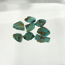Load image into Gallery viewer, Arizona Patagonia Stella Blue Rough