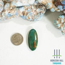 Load image into Gallery viewer, Arizona Patagonia Cabochon