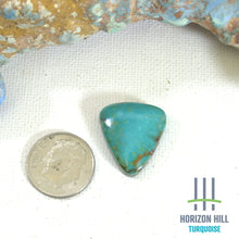 Load image into Gallery viewer, Patagonia Stella Blue Cabochon