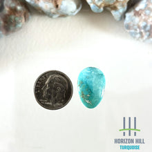 Load image into Gallery viewer, Lone Mountain Cabochon