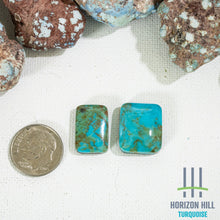 Load image into Gallery viewer, Arizona Patagonia Cabochon Pair