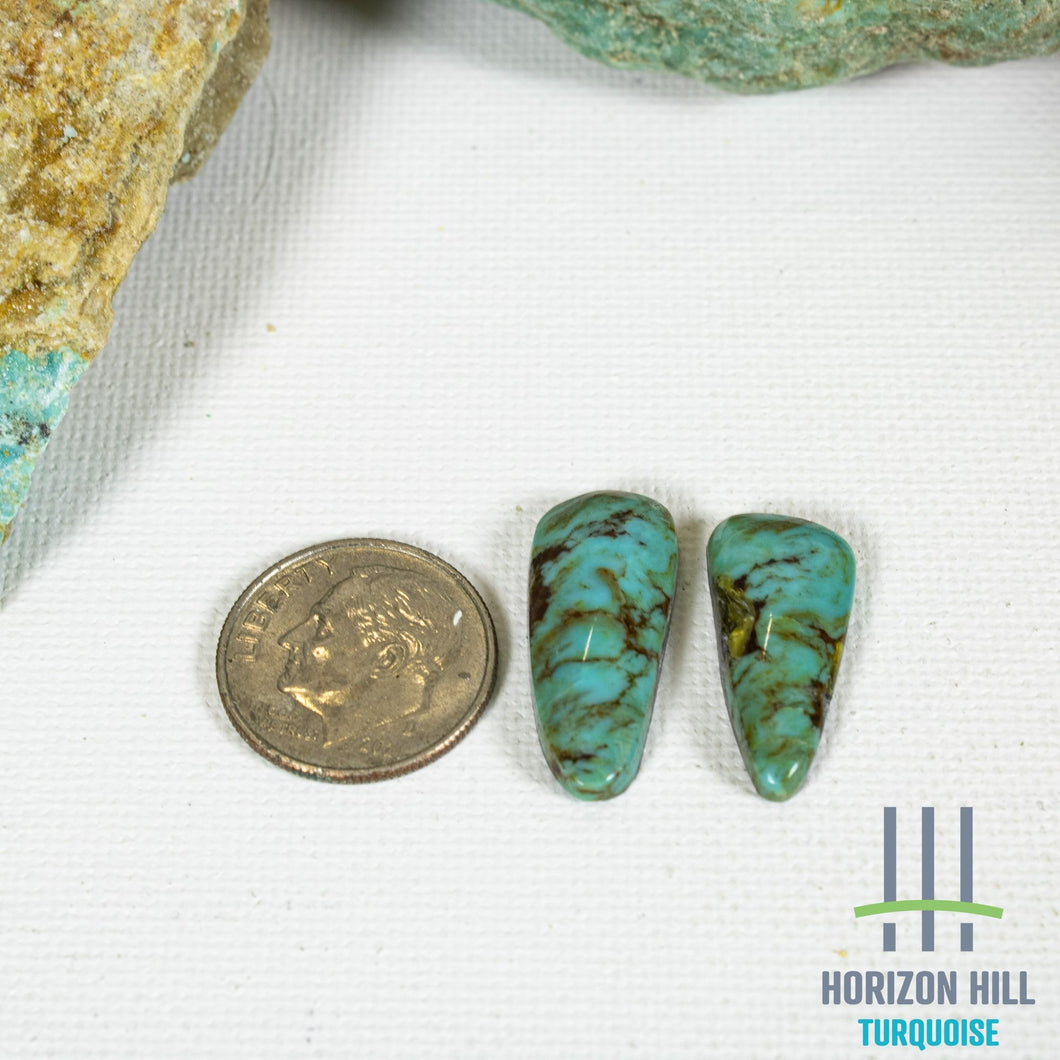 Bisbee Turquoise Cabochon