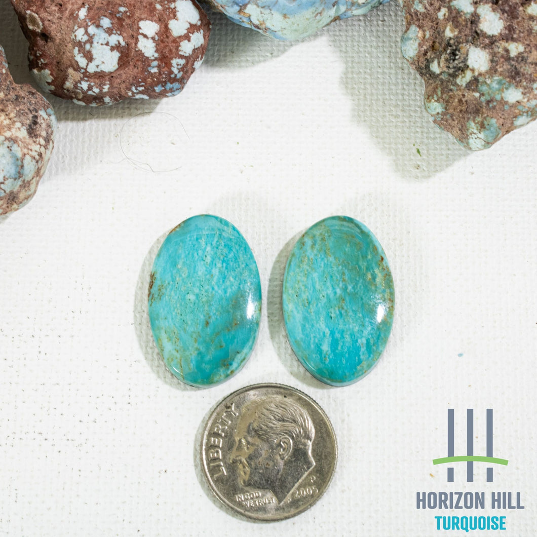 Arizona Patagonia Cabochon Pair