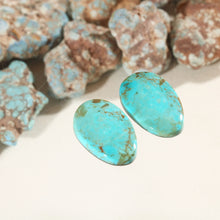 Load image into Gallery viewer, Arizona Patagonia Stella Blue Pair
