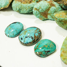 Load image into Gallery viewer, Arizona Patagonia Cabochon Set
