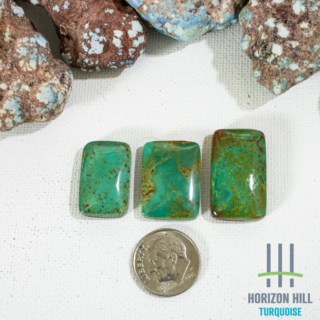 Arizona Patagonia Cabochon Set of 3