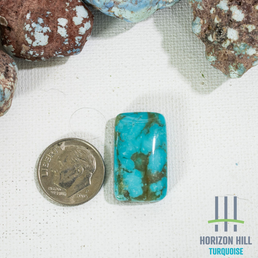 Arizona Patagonia Cabochon