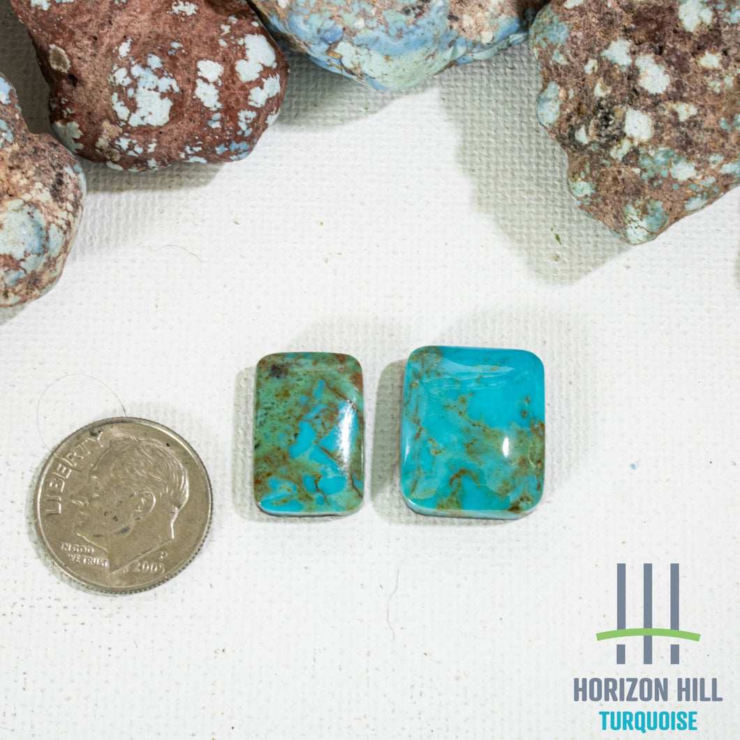 Arizona Patagonia Cabochon Pair