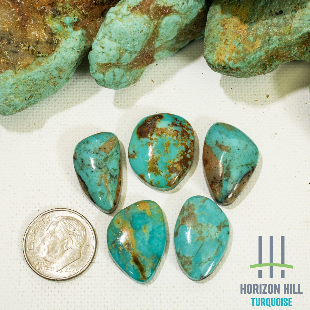 Arizona Patagonia Cabochon Set