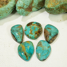 Load image into Gallery viewer, Arizona Patagonia Cabochon Set
