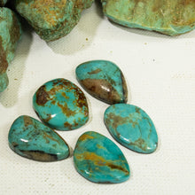 Load image into Gallery viewer, Arizona Patagonia Cabochon Set
