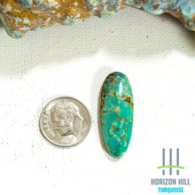 Load image into Gallery viewer, Arizona Patagonia Cabochon
