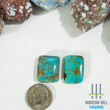 Load image into Gallery viewer, Arizona Patagonia Cabochon Pair
