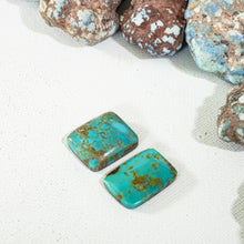 Load image into Gallery viewer, Arizona Patagonia Cabochon Pair
