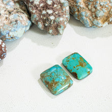 Load image into Gallery viewer, Arizona Patagonia Cabochon Pair
