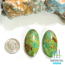 Load image into Gallery viewer, Arizona Patagonia Cabochon Pair
