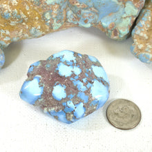 Load image into Gallery viewer, Golden Hill: Large Nugget
