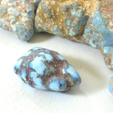 Load image into Gallery viewer, Golden Hill: Large Nugget
