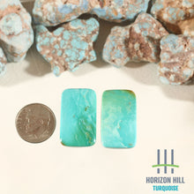 Load image into Gallery viewer, Arizona Patagonia Stella Blue Pair
