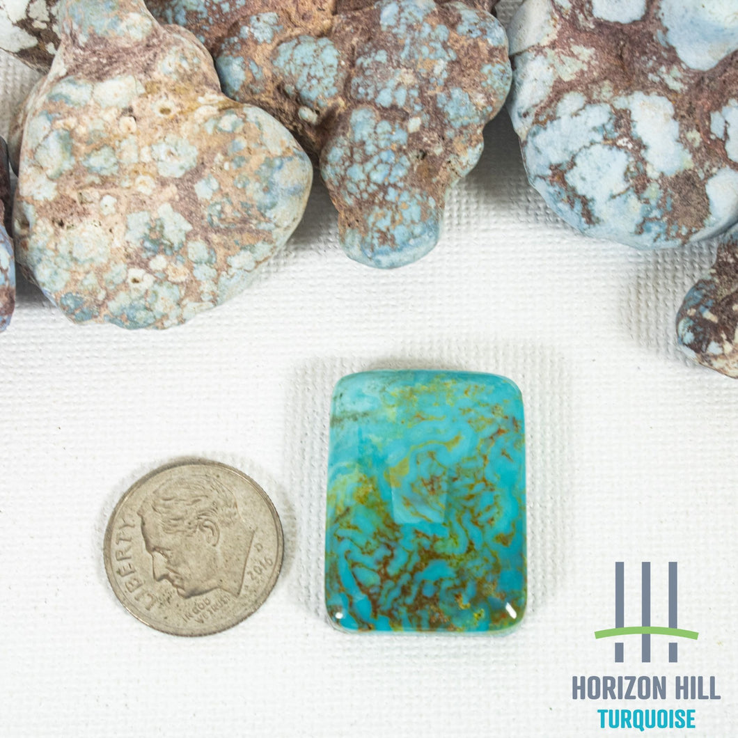 Arizona Patagonia Cabochon