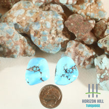 Load image into Gallery viewer, Golden Hill: Cabochon Pair

