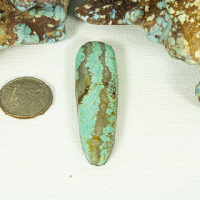 Load image into Gallery viewer, Nevada #8 Cabochon
