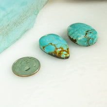 Load image into Gallery viewer, Nevada #8 Cabochon Set
