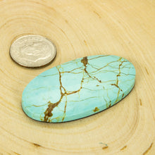 Load image into Gallery viewer, Nevada #8 Cabochon
